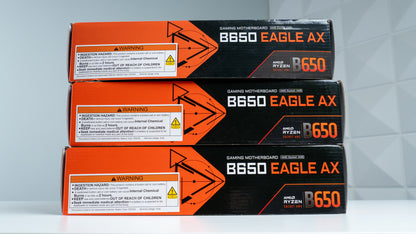Gigabyte Eagle Motherboard Bundle