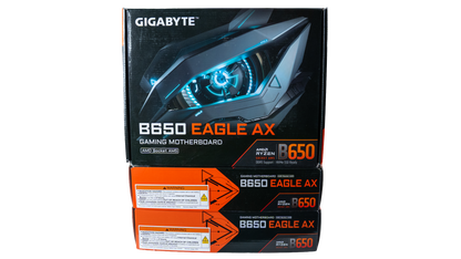 Gigabyte Eagle Motherboard Bundle
